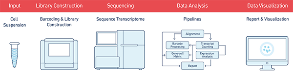 ϸ,ϸ,Drop-seq
