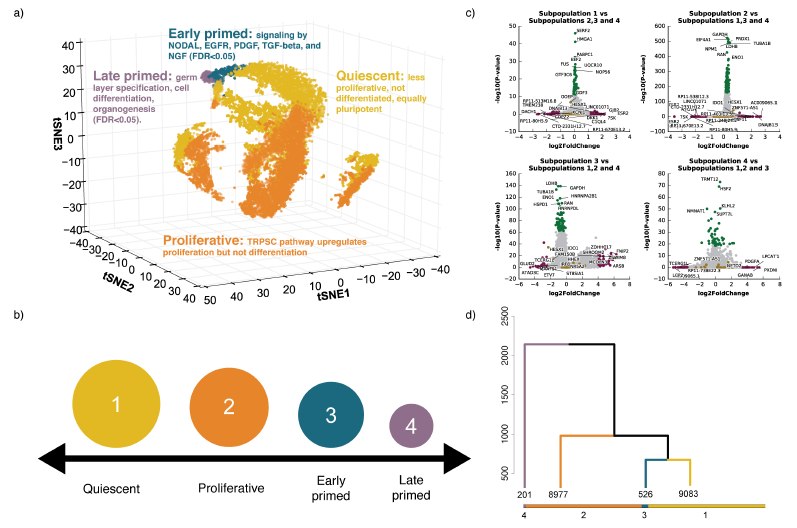 ϸ,ϸ,Drop-seq