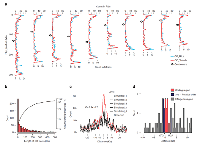 ϸ,ϸ,Drop-seq