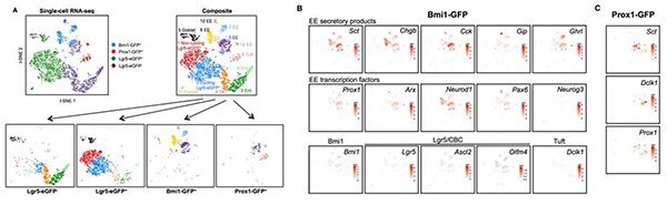 ϸ,ϸ,Drop-seq
