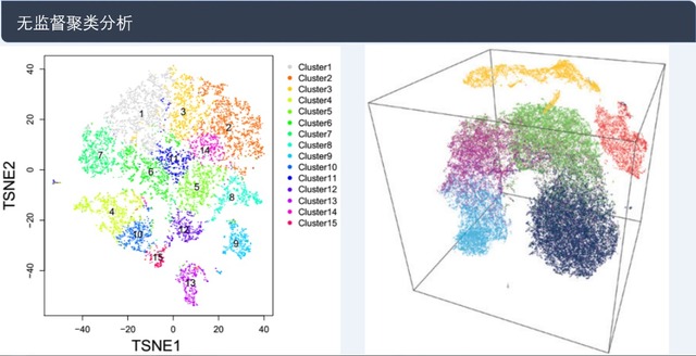ϸת¼(10x Genomics)