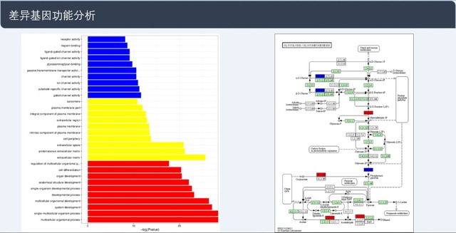 ϸת¼(10x Genomics)